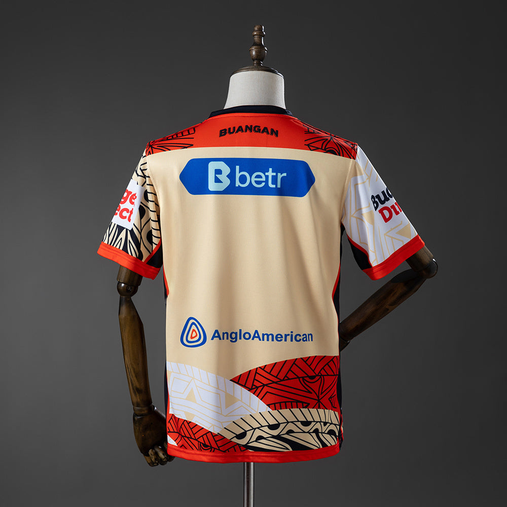 Dolphins 2025 Indigenous